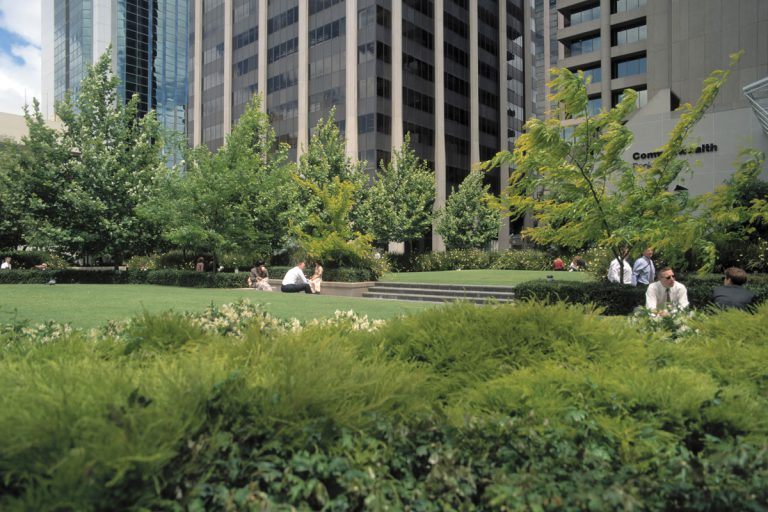 The CBD’s Green Oasis