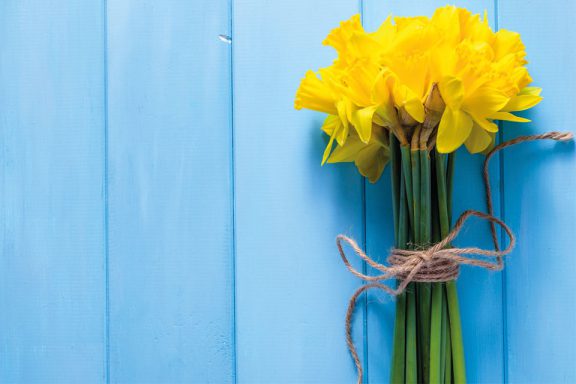 Daffodil Day 2023