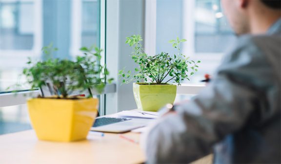 Environmental sustainability practises in the workplace