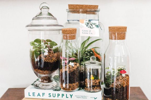 National Tree Day: Terrarium Workshop