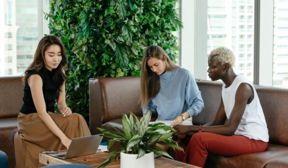 The Benefits of Indoor Plants In The Workplace